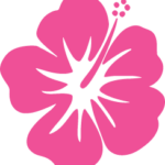 Ohana Care Maui -Maui's VIP Home Care Agency